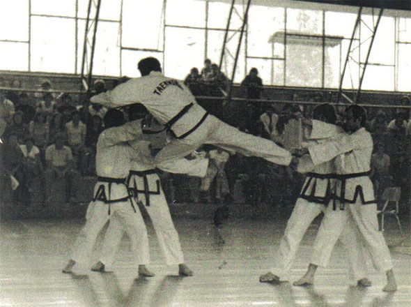 taekwondo demo